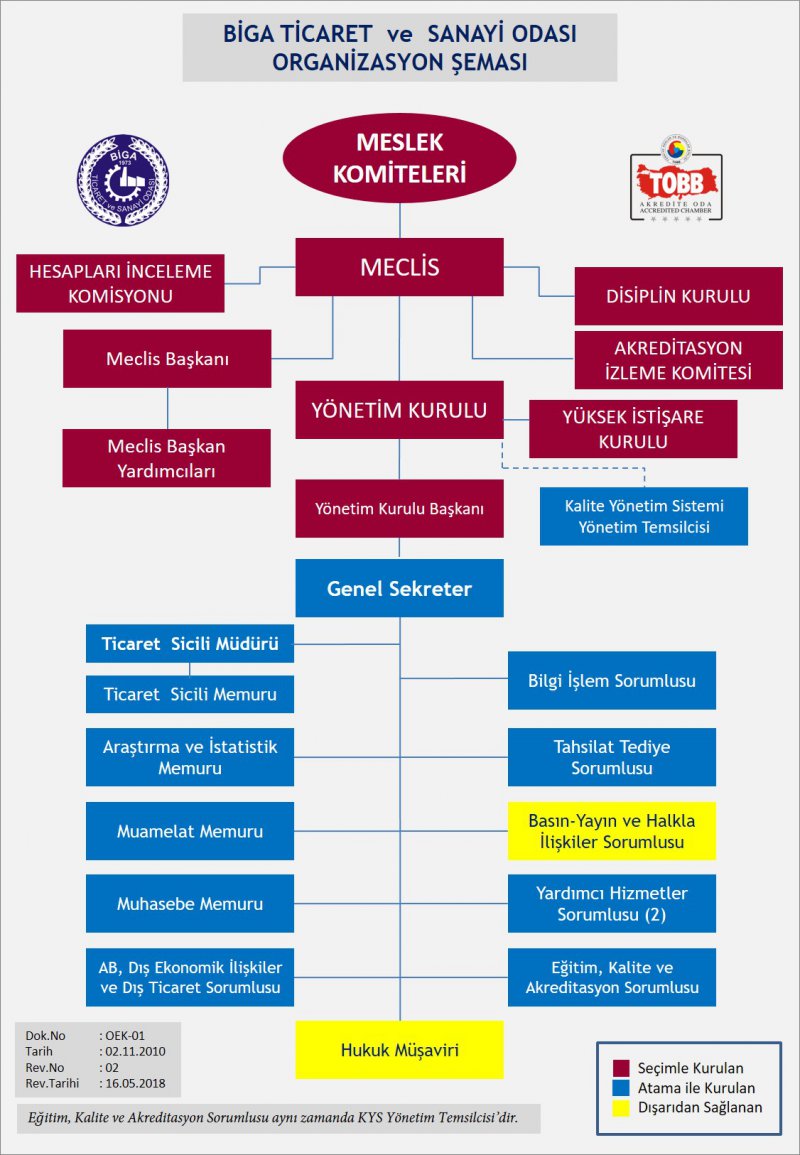 Organizasyon Şeması